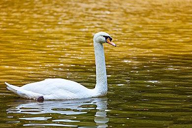 《消逝的光芒2》开发者解释为何延期 新抓钩将截然不同