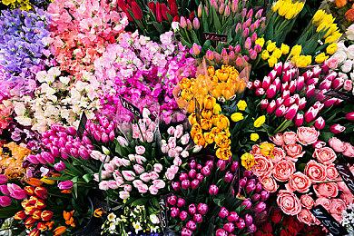 动作角色扮演游戏《驱灵者：新伊甸的幽灵》新预告